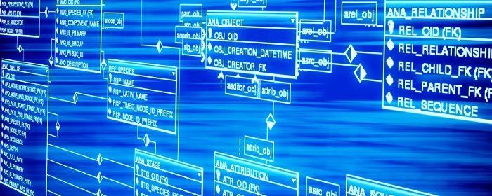 Descarga Gratuita de Base de Datos de Prueba para MySQL: Ideal para Desarrolladores y Estudiantes