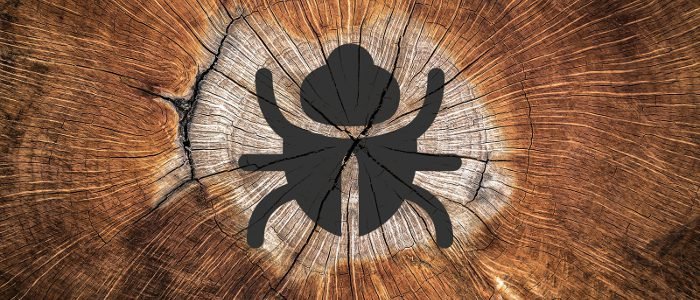 Nuevo Fallo De Seguridad En OpenSSL
