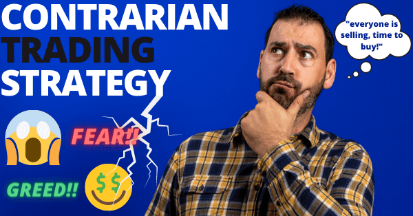 Desarrollador Web Freelance | Wordpress | | Contrarian 1