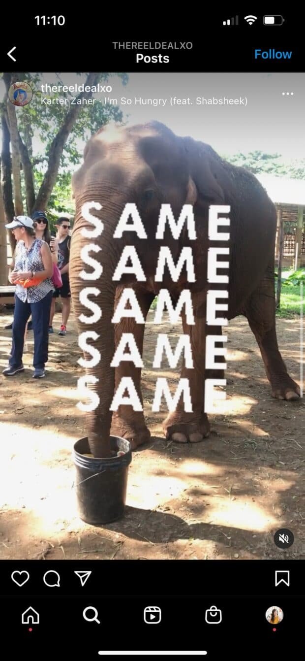 elefante con el mismo texto cinco veces