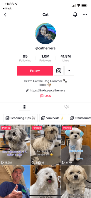 Desarrollador Web Freelance | Wordpress | Cómo ser verificado en TikTok | Cómo ser verificado en TikTok: 5 pasos para obtener tu cheque azul 4 El usuario no verificado de TikTok Cat the Dog Groomer (@catherrera) tiene 1 millón de seguidores