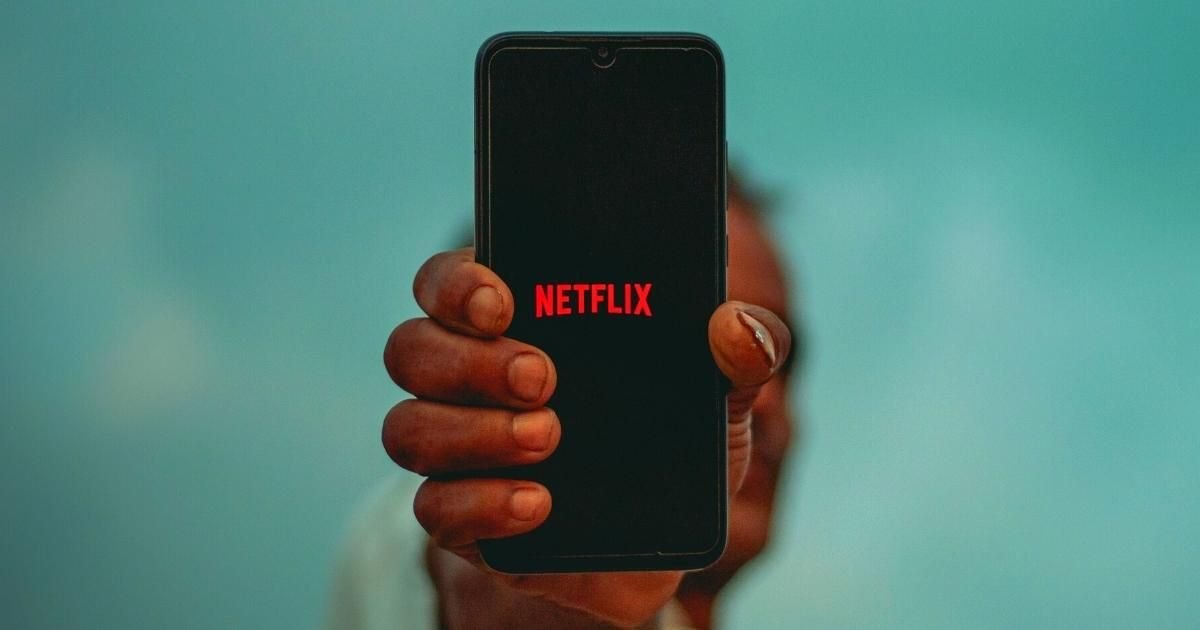 Desarrollador Web Freelance | Wordpress | | Netflix 2