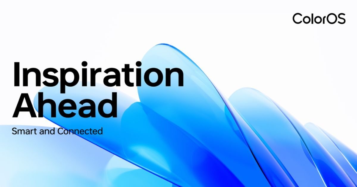 Desarrollador Web Freelance | Wordpress | | coloros 13 1 1