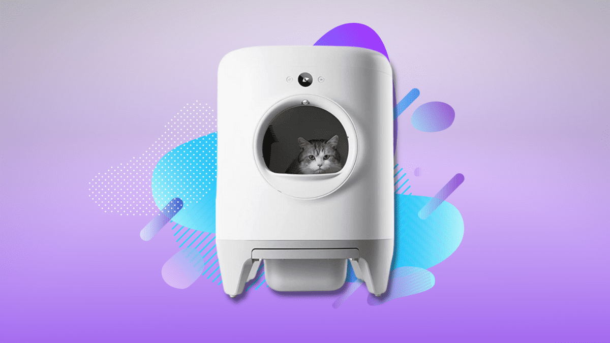 Desarrollador Web Freelance | Wordpress | | Oferta de caja de arena autolimpiante: ahorre un 36 % en PETKIT Pura X 1 Desarrollador Web Freelance | Wordpress | | hero