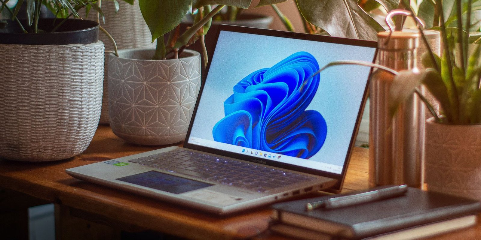 Desarrollador Web Freelance | Wordpress | | windows11 laptop