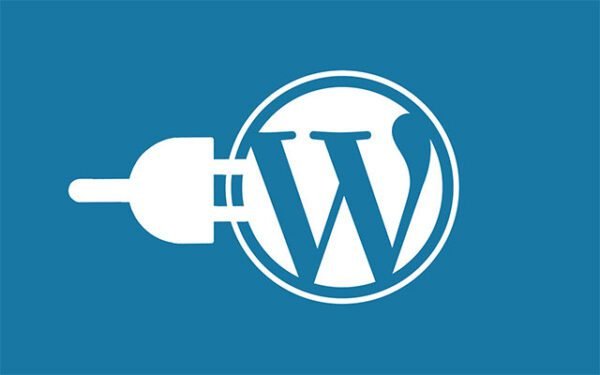 Desarrollador Web Freelance | Wordpress | | WP Statistics wordpress plugin