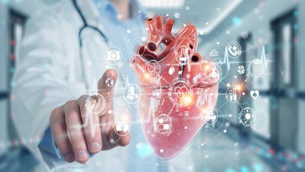 Desarrollador Web Freelance | Wordpress | | Vulnerabilidades descubiertas en el software Canon Medical Vitrea View 11 Vulnerabilidades descubiertas en el software Canon Medical Vitrea View