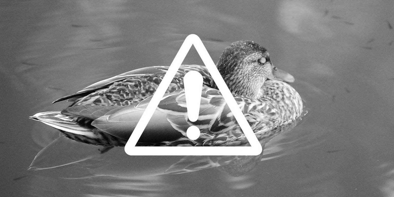 Cuentas comerciales de Facebook pirateadas a través de la nueva versión PHP del malware Ducktail