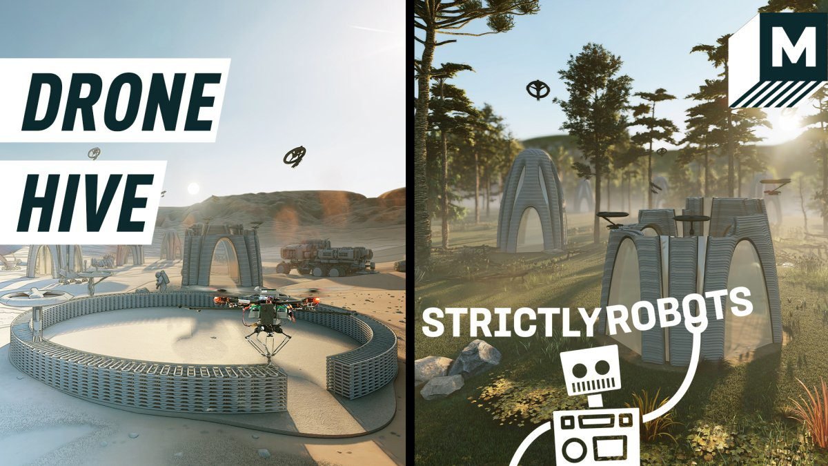Desarrollador Web Freelance | Wordpress | | Una colmena de drones de impresión 3D podría cambiar el futuro de la construcción 1 Desarrollador Web Freelance | Wordpress | | hero