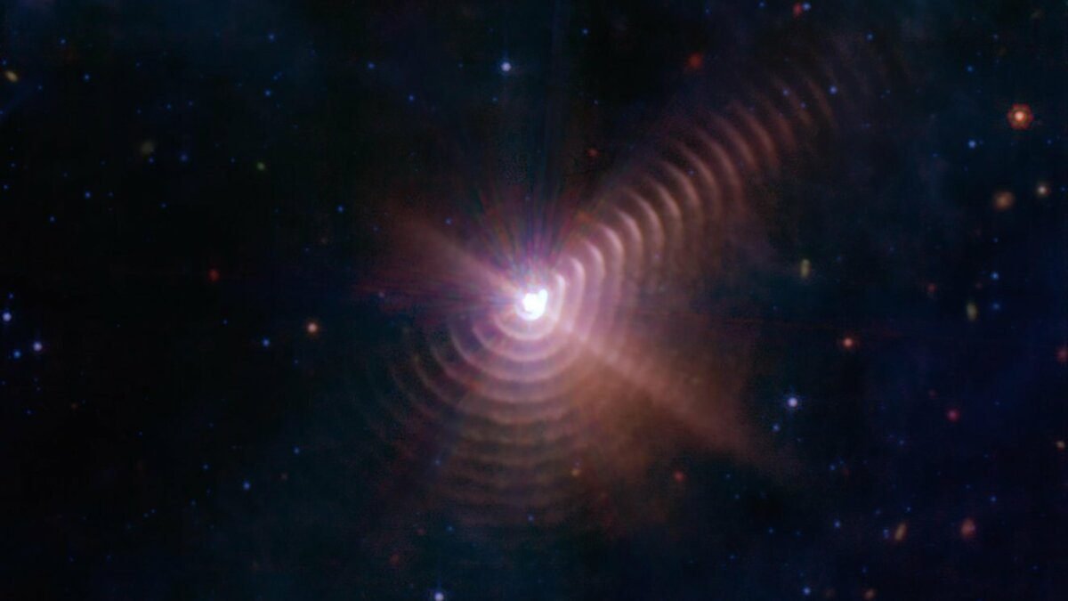 Desarrollador Web Freelance | Wordpress | | El Telescopio Webb ve un raro par de estrellas llenas de anillos de polvo 1 Desarrollador Web Freelance | Wordpress | | hero