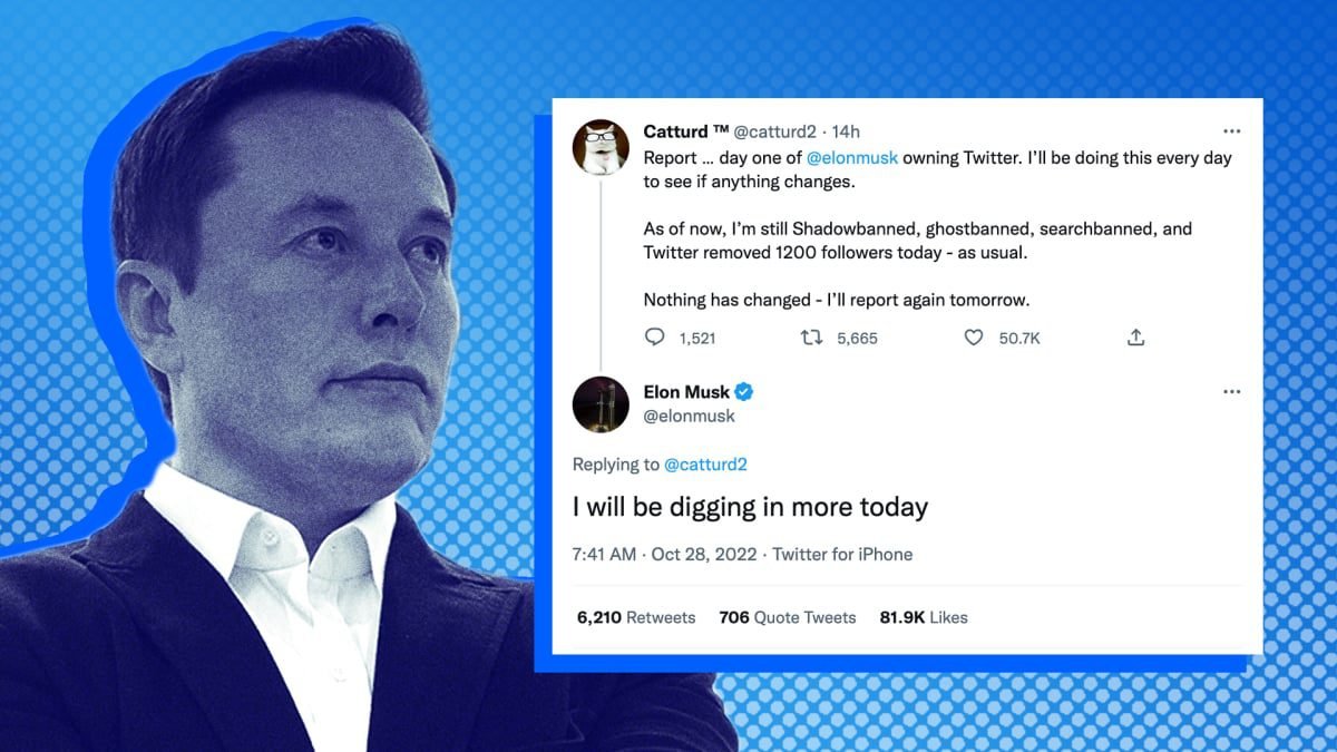 Desarrollador Web Freelance | Wordpress | | El primer día de Elon Musk al frente de Twitter se trató de ayudar a las cuentas de derecha. 1 Desarrollador Web Freelance | Wordpress | | hero