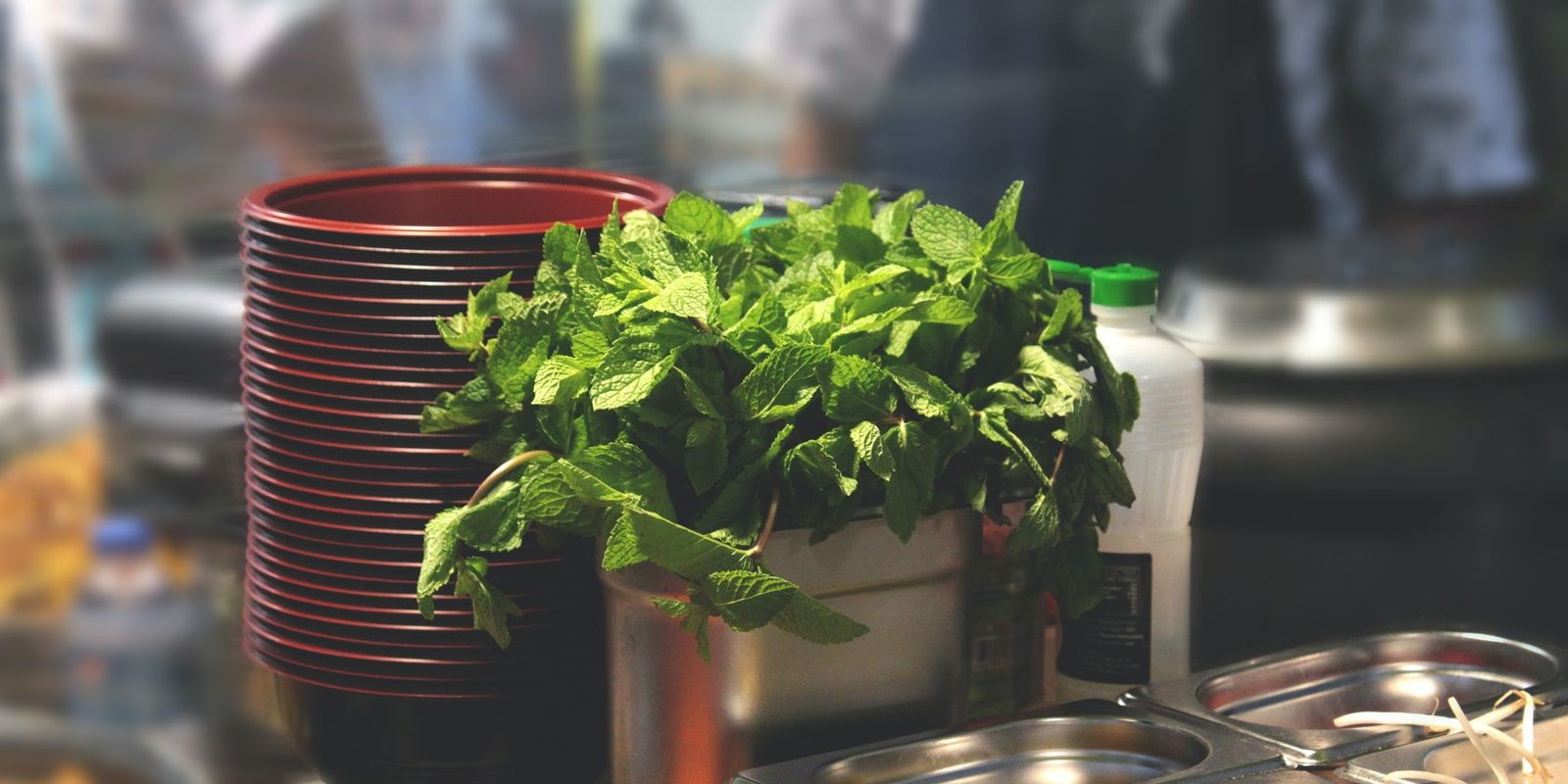 Desarrollador Web Freelance | Wordpress | | mint leaves in kitchen