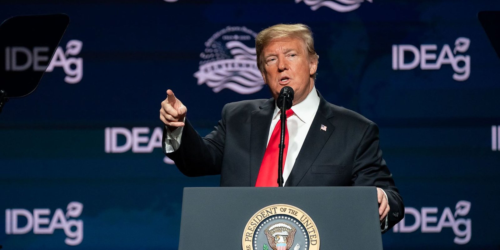 Desarrollador Web Freelance | Wordpress | | trump at ideag