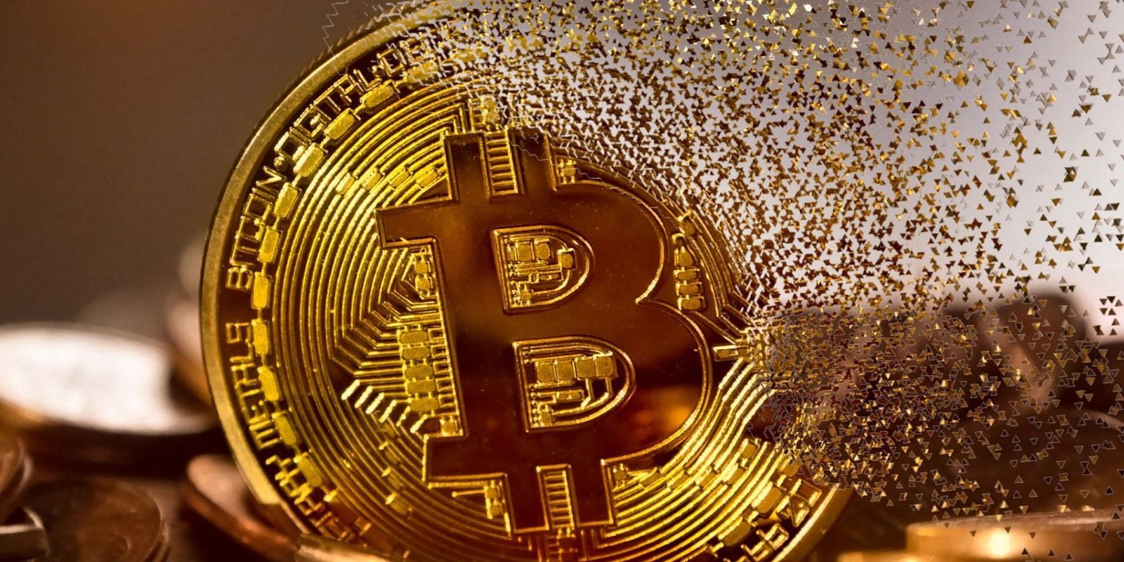 Desarrollador Web Freelance | Wordpress | | bitcoin fragments 1