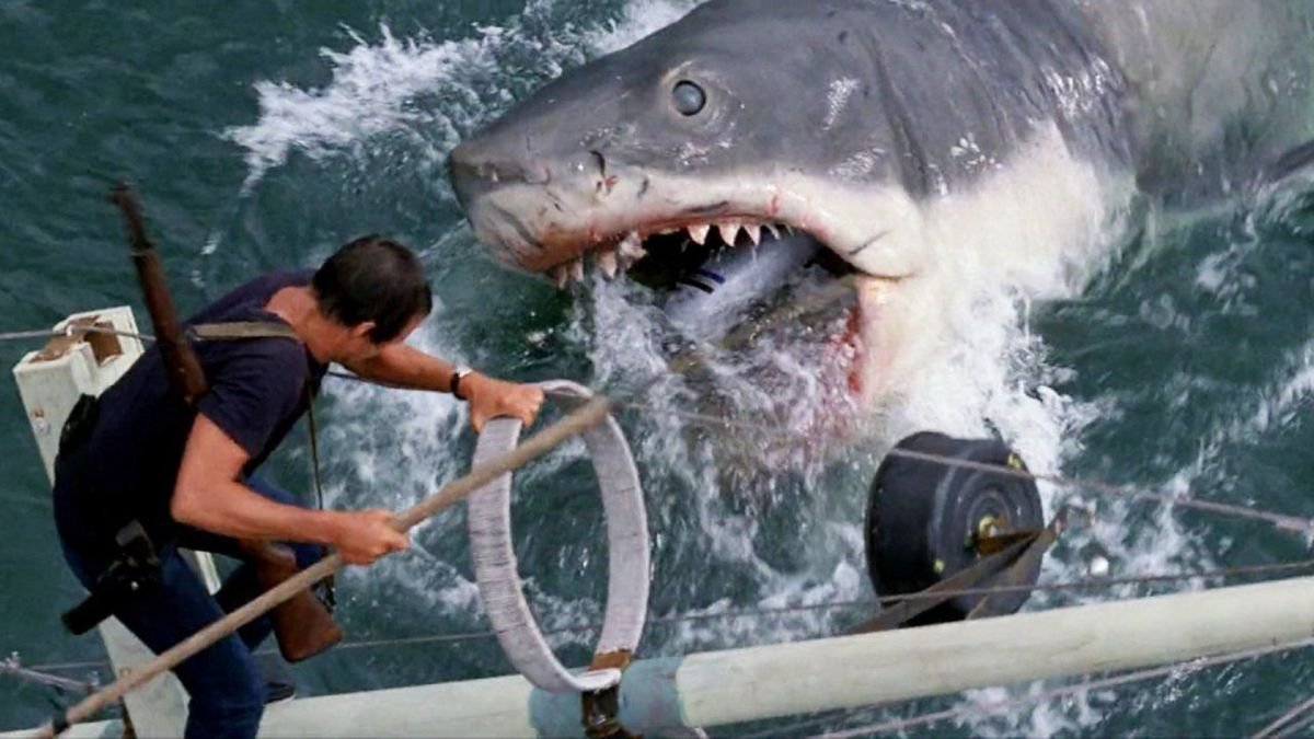 Desarrollador Web Freelance | Wordpress | | Steven Spielberg espera sinceramente que los Tiburones no lo culpen por la influencia de Tiburón en la 'pesca deportiva loca' 1 Desarrollador Web Freelance | Wordpress | | AGTEJfMKWaErdXritKVzyj 1200 80