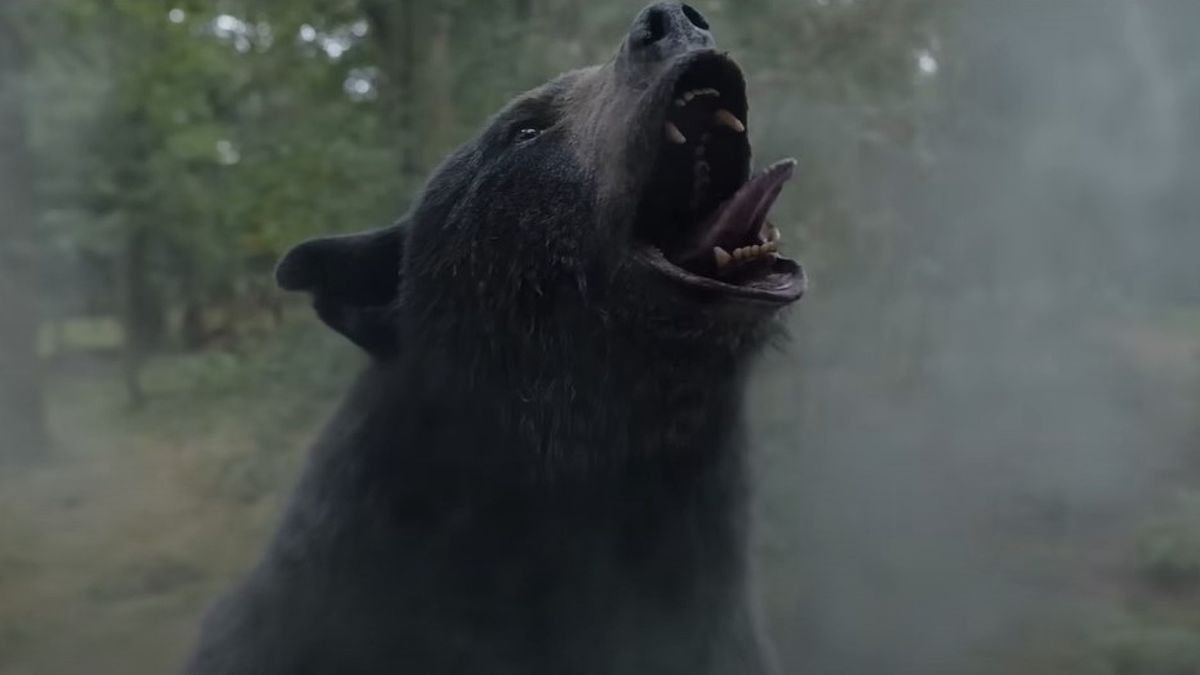 Desarrollador Web Freelance | Wordpress | | El loco primer tráiler de Cocaine Bear da vida a una salvaje historia real 1 Desarrollador Web Freelance | Wordpress | | DAPMGceXrYHZFzvVMGtqeB 1200 80