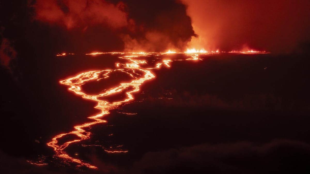 Desarrollador Web Freelance | Wordpress | | Transmisión en vivo de la erupción de Mauna Loa: mira el volcán activo más grande de la Tierra 1 Desarrollador Web Freelance | Wordpress | | hero