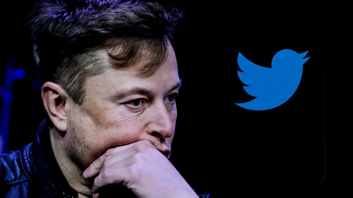Desarrollador Web Freelance | Wordpress | | Elon Musk dice que las vistas de Twitter pronto serán opcionales 1 Desarrollador Web Freelance | Wordpress | | hero