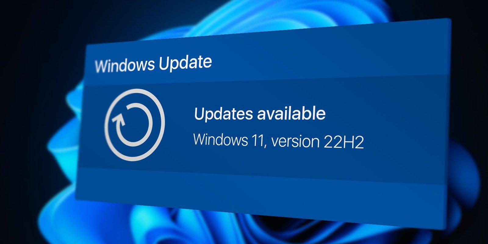 Desarrollador Web Freelance | Wordpress | | windows update 22h2