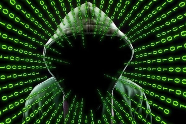Desarrollador Web Freelance | Wordpress | | hacker AI artificial intelligence