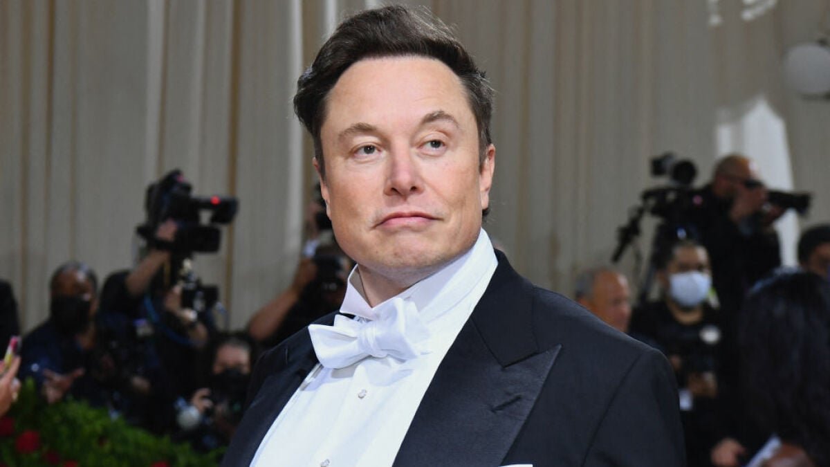 Desarrollador Web Freelance | Wordpress | | La pérdida de fortuna de Elon Musk reconocida por Guinness World Records como la mayor de la historia 1 Desarrollador Web Freelance | Wordpress | | hero