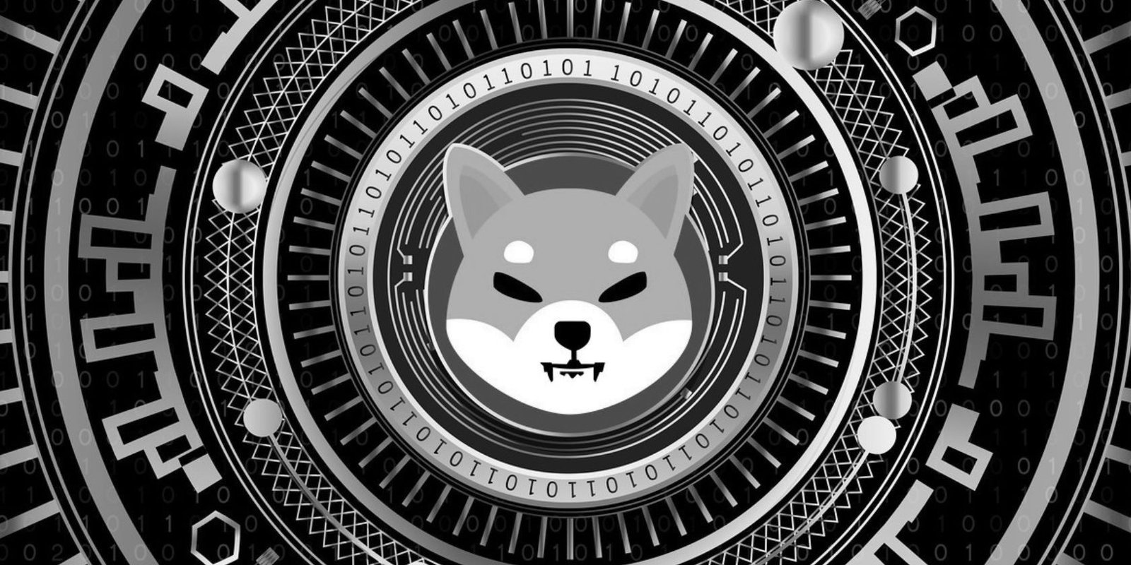 Desarrollador Web Freelance | Wordpress | | Usuarios de Reddit descubren peligrosa estafa de Shiba Inu Drop 1 Desarrollador Web Freelance | Wordpress | | shiba inu grey
