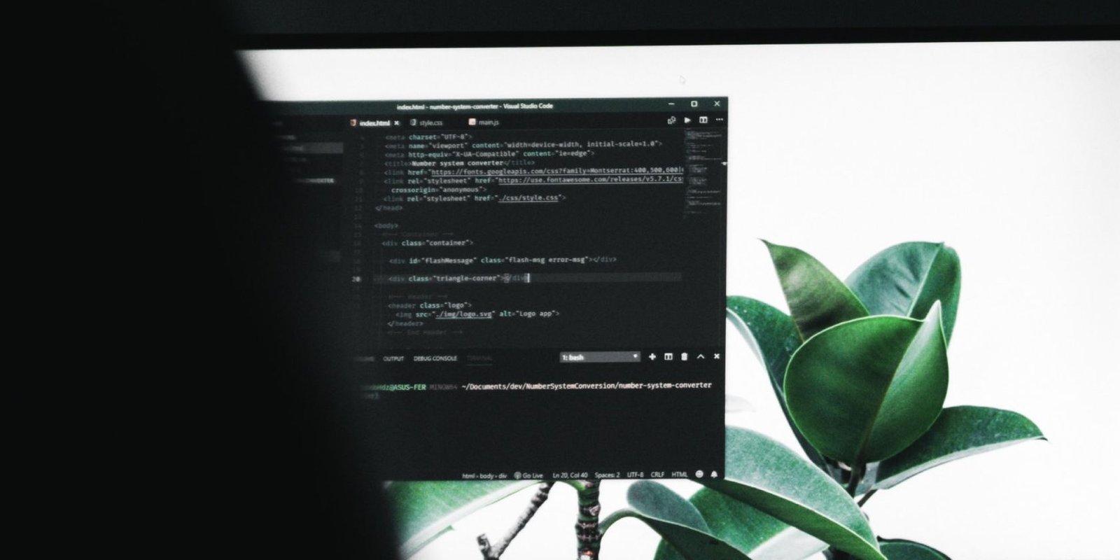 Desarrollador Web Freelance | Wordpress | | enable telnet windows
