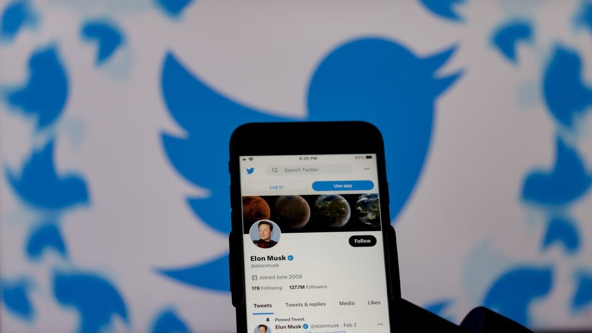 Desarrollador Web Freelance | Wordpress | | Elon Musk intenta desacreditar a los periodistas, pero los propios datos de Twitter demuestran que está equivocado 1 Desarrollador Web Freelance | Wordpress | | hero