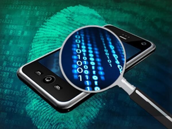 Desarrollador Web Freelance | Wordpress | | mobile forensic