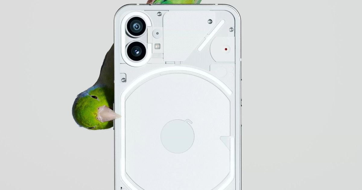 Desarrollador Web Freelance | Wordpress | | nothing phone 1 silver rear