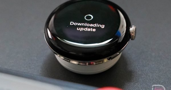 Desarrollador Web Freelance | Wordpress | | Pixel Watch Update 1 600x315 cropped