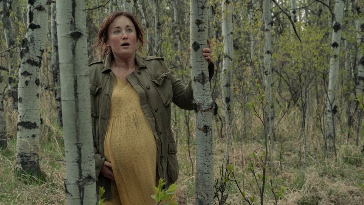 Desarrollador Web Freelance | Wordpress | | El 'proyectil' de Ashley Johnson lloró cuando Neil Druckmann le ofreció un papel en la serie de televisión The Last of Us 1 Desarrollador Web Freelance | Wordpress | | QsGmWqbHXevfx4DE3F6c9D 1200 80