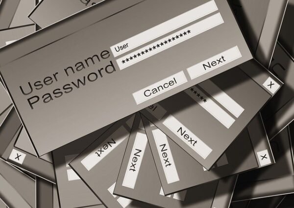 Desarrollador Web Freelance | Wordpress | | Password scaled