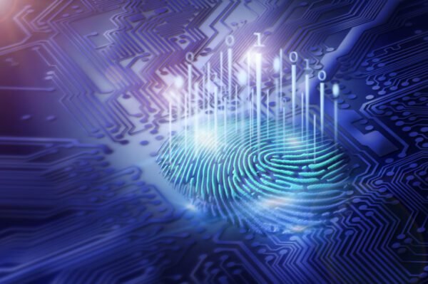 Desarrollador Web Freelance | Wordpress | | device fingerprint