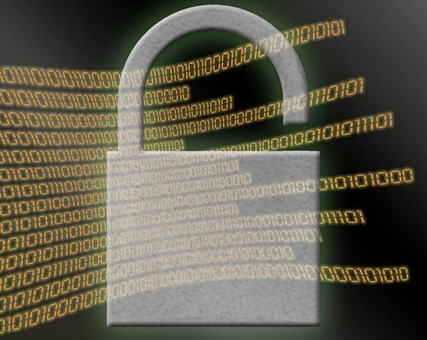 Desarrollador Web Freelance | Wordpress | | Aerogrow data breach