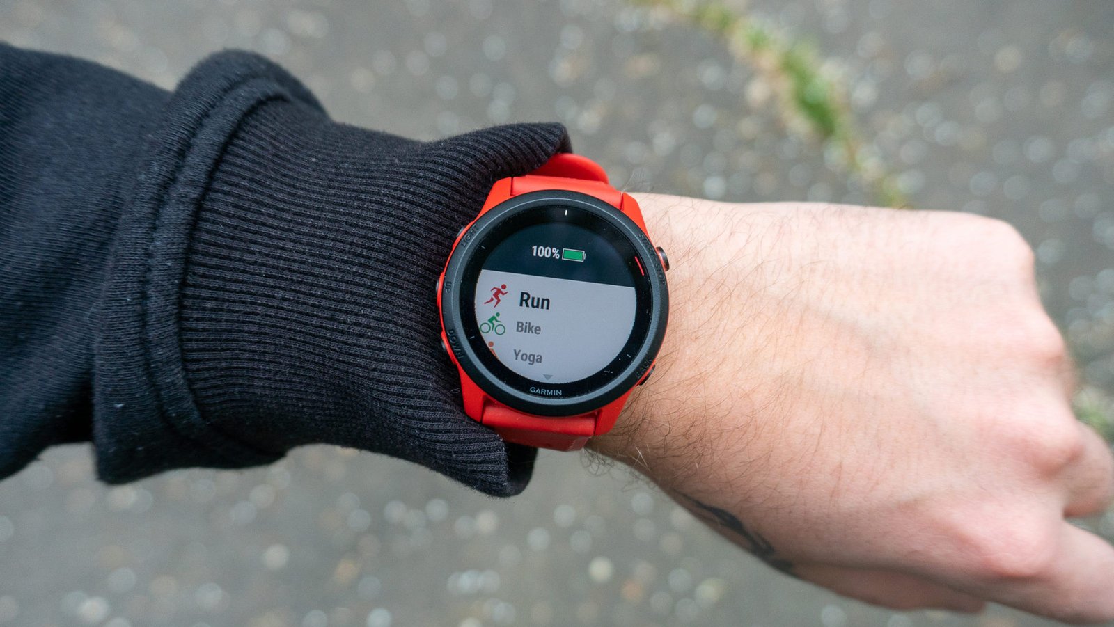 Desarrollador Web Freelance | Wordpress | | Una de estas ofertas de Garmin Prime Day está fuera de serie 1 Desarrollador Web Freelance | Wordpress | | Garmin Forerunner 745 activity and sport profiles scaled